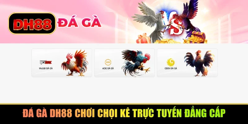 Đá gà DH88 chơi chọi kê trực tuyến đẳng cấp